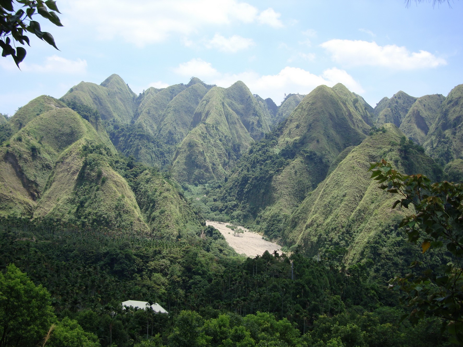 九九峰自然保留區一景 1 南投林管處提供